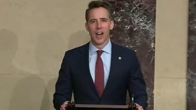 Photo of Hawley on House Democrats releasing Trump’s personal tax info