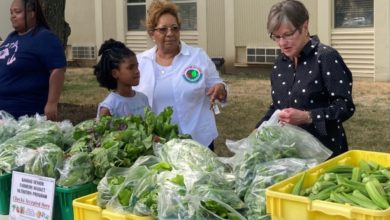 Photo of Kelly announces $56M in food assistance for 189,000 Kansas children