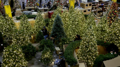 Photo of Missouri’s Christmas tree farms are prepping for their busy season