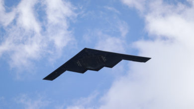 Photo of Air Force grounds entire B-2 fleet after emergency landing