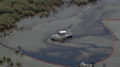 Photo of Company reopens most of pipeline following Kansas oil spill