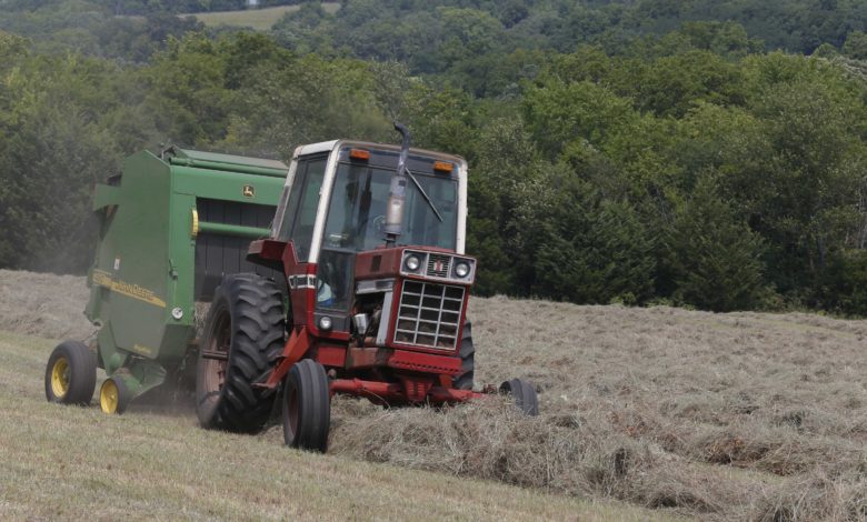 Cutting Hay Farm Farming Agriculture Farmer Field Grass Food