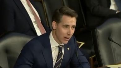 Photo of Hawley accuses Homeland Security of pulling agents off cases to make sandwiches for illegal immigrants