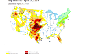 Photo of 60+ percent of the nation is experiencing drought