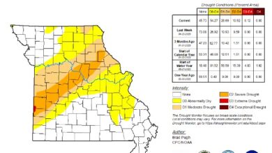 Photo of Drought southwest Missouri – southeast Kansas