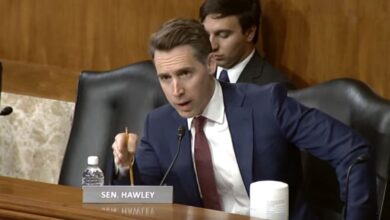 Photo of Hawley criticizes use of TikTok by National guardsman to promote military life