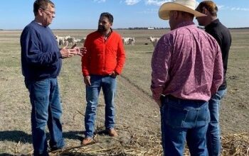 Photo of KDA hosts Beef Genetics Trade Mission from Mexico 