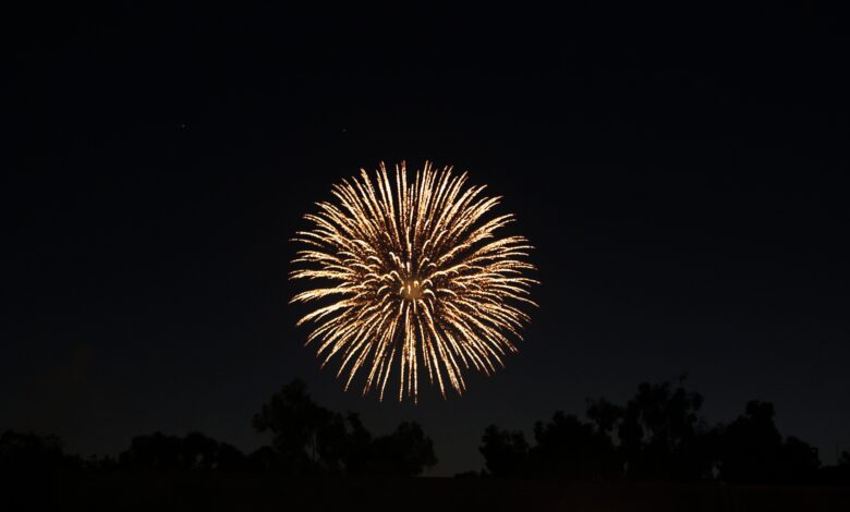 Fireworks Fireworks 4th Of July Forth Celebration