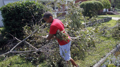 Photo of Heavy winds overnight result in power outages, fallen branches