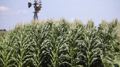 Photo of Farm bill listening session to make its way to Missouri State Fair