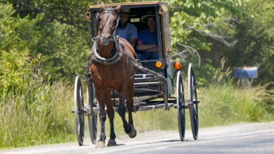 Photo of Missouri chiropractor charged with sex crimes and preying on the Amish