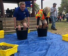 Photo of KDA to Host 17th annual Kansas Grape Stomp at the Kansas State Fair