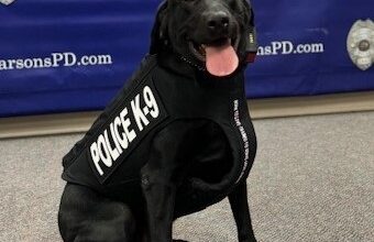 Photo of Parsons K9 Morgan receives bullet and stab protective vest thanks to donation