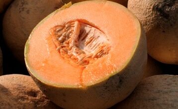 Photo of Case count doubles and recalls expand in Salmonella outbreak linked to cantaloupes and pre-cut fruit products