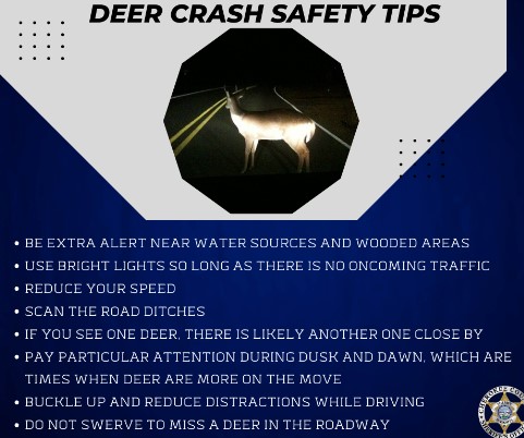 Deer Crash Tips