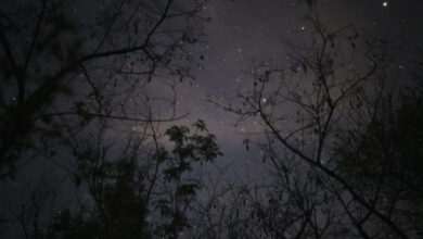 Photo of Wonders of the Night Sky at the George Washington Carver National Monument