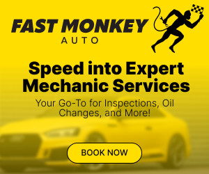 Fast Monkey Auto 300x250 Px (1)