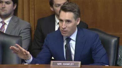 Photo of Hawley slams land management director over tree spiking