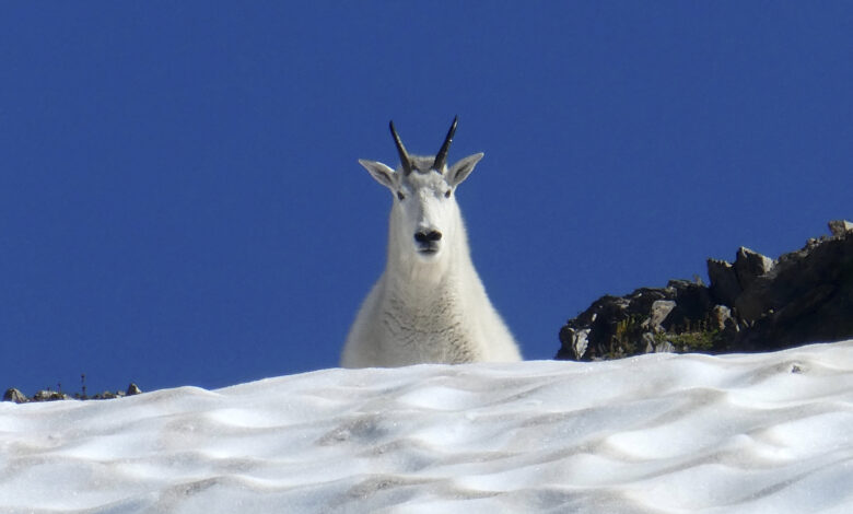 Pictures Of The Week North America Photo Gallery