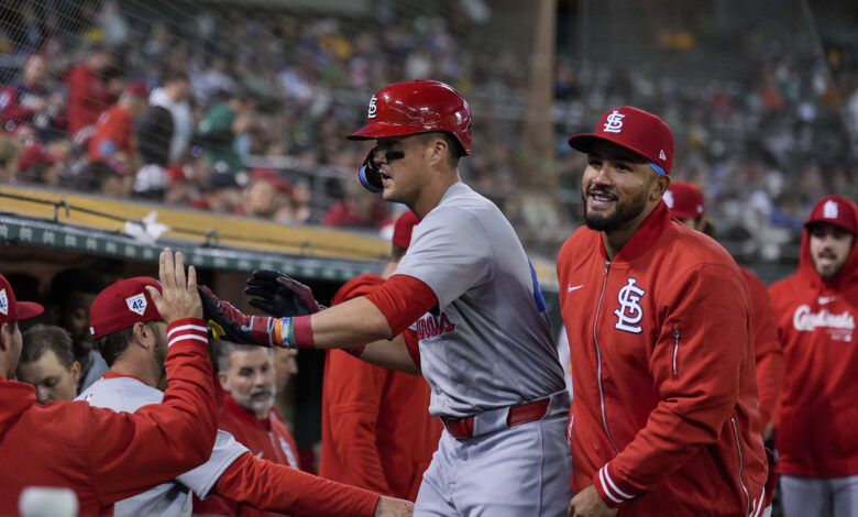 Cardinals Athletics Baseball