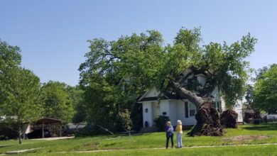 Photo of EF-0 to EF-1 tornado damage surveyed in Joplin, Carthage areas