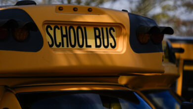 Photo of St. Louis school district will pay families to drive kids to school amid bus driver shortage