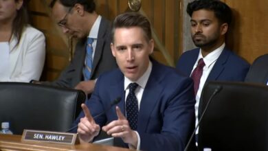 Photo of Hawley slams scientists who supported censorship of COVID lab leak theory