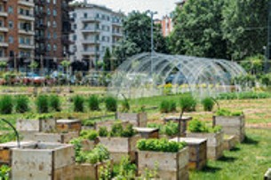 Photo of Urban Ag Cost-Share Grants available