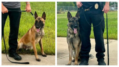 Photo of Joplin Police introduce two new K9 officers