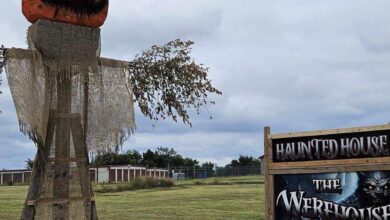 Photo of The Werehouse highlights area haunted houses