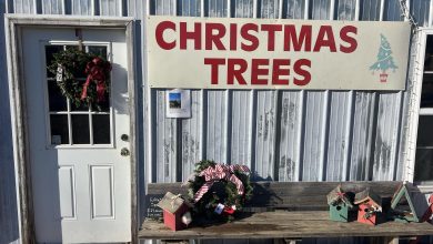 Photo of In a Christmas tree emergency? The Johnson Family Farm has you covered.