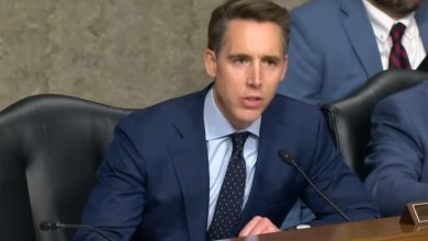 Photo of ‘What world do you live in?’: Hawley blasts Democrat plot for ‘mass amnesty’